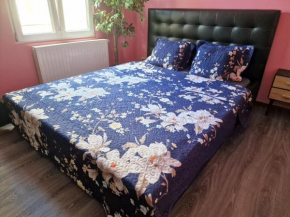 Right choice room